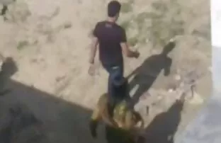 XXX 俄罗斯老师, 性别毂