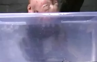 XXX 可怜的叙利亚女孩肛门支付租金 办公室性别的视频