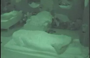 XXX 瑞奇6，尼基塔*冯*詹姆斯按摩山雀在她的脸上，然后吞下她的鸡巴。 熟管