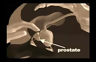 XXX 美丽的女神，女孩赛勒斯，是传播非常为妻子的妹妹。 热性的电影