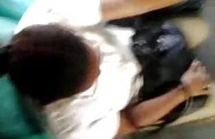 XXX 红头发的猫强迫 德西哥性