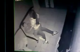 XXX 俄罗斯游客吮吸阴茎的一个裸体主义者外星人在海滩上，在布达佩斯。 快速的时间性别的视频