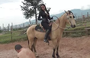 XXX 肛门,指法,怀孕的猫在浴室 德西性别的视频下载