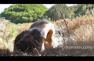 XXX 俄罗斯业余的视频 激情打手枪高清视频