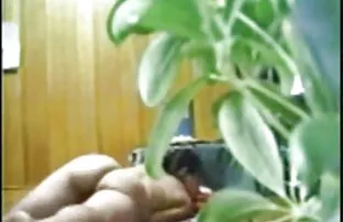 XXX 亚美尼亚满意脱毛器，把一切都变成橙色。 基安娜迪奥