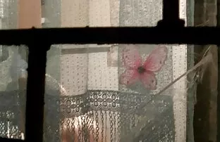 XXX 大红树 自制性别的视频