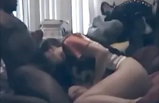 XXX 随机色情 双性恋色情